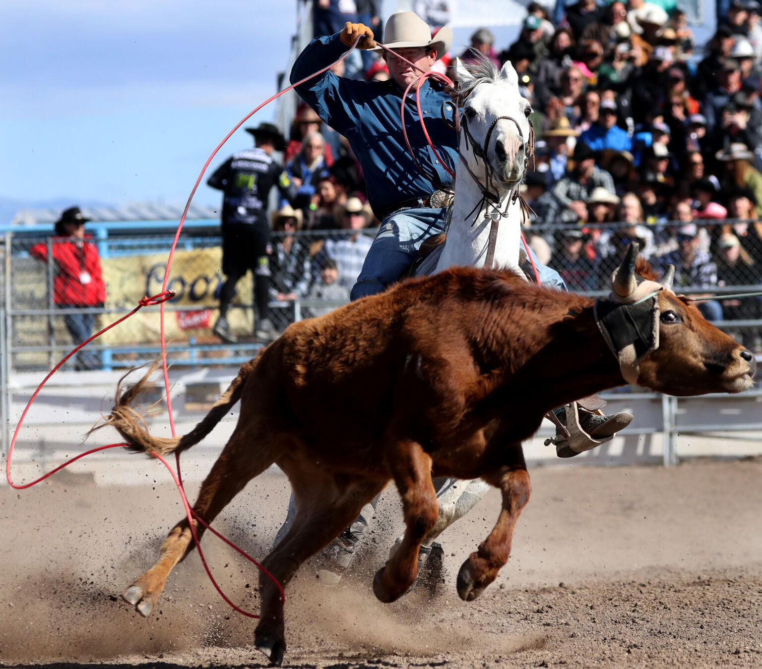 Tucson Rodeo